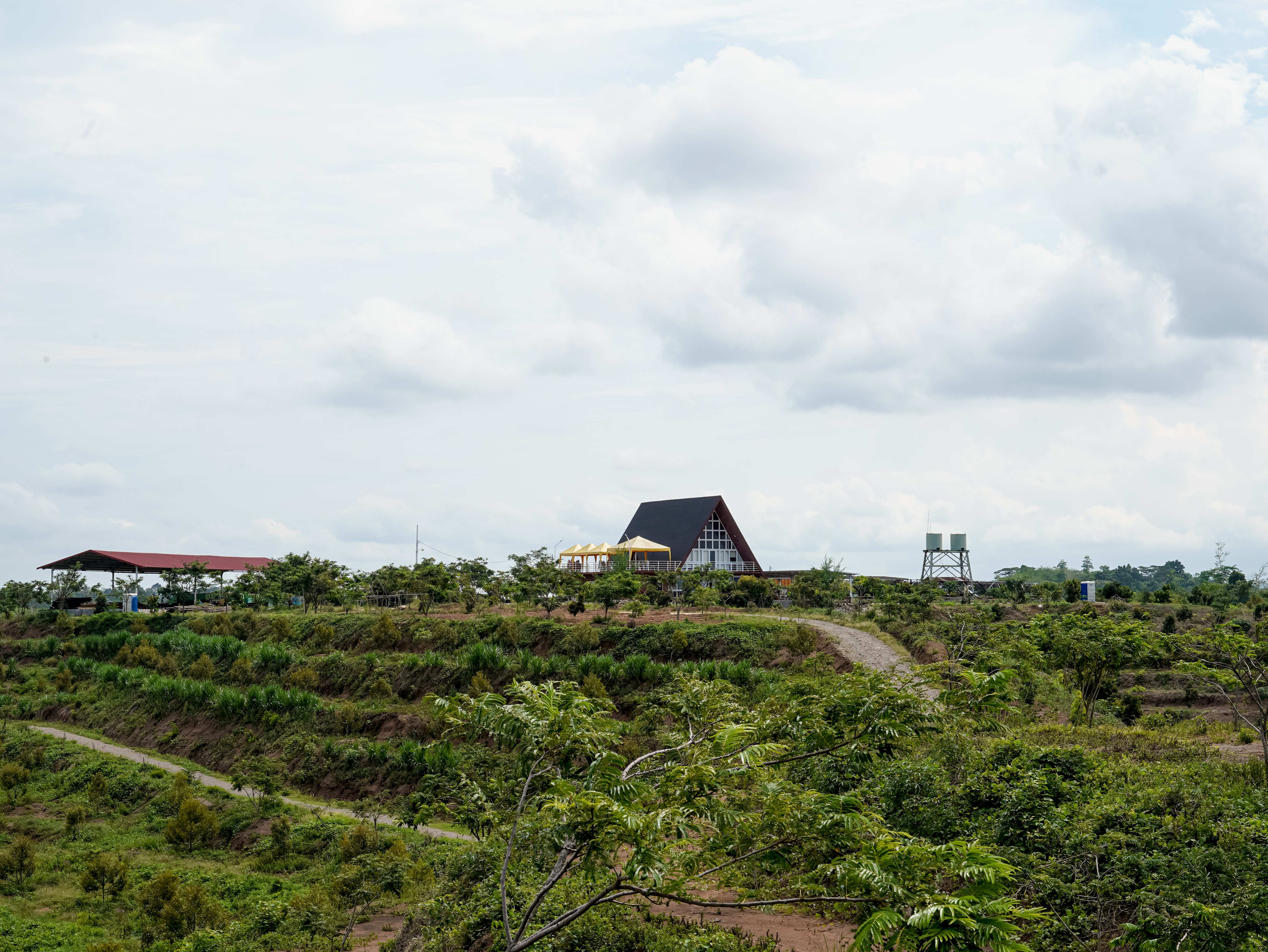 Perkebunan